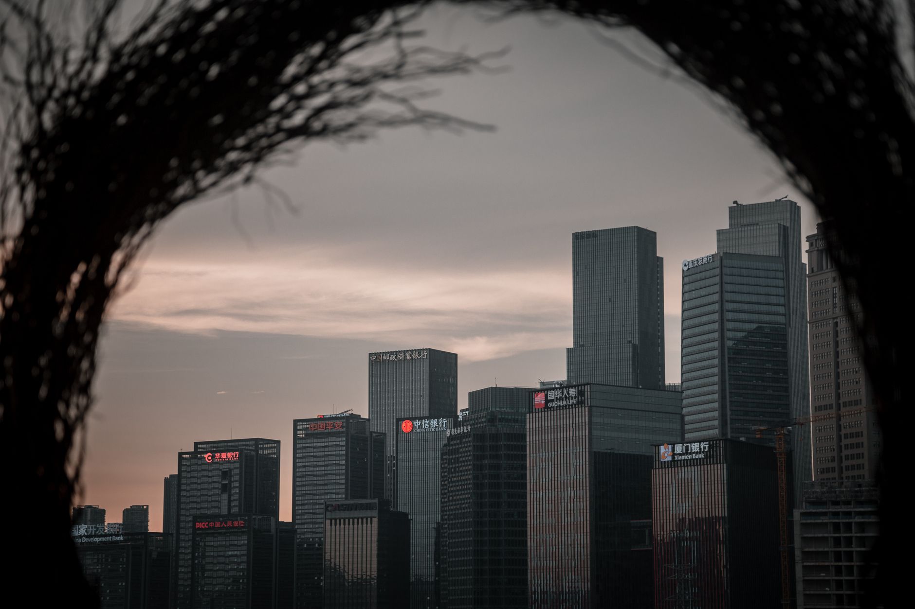 city buildings under the gray sky